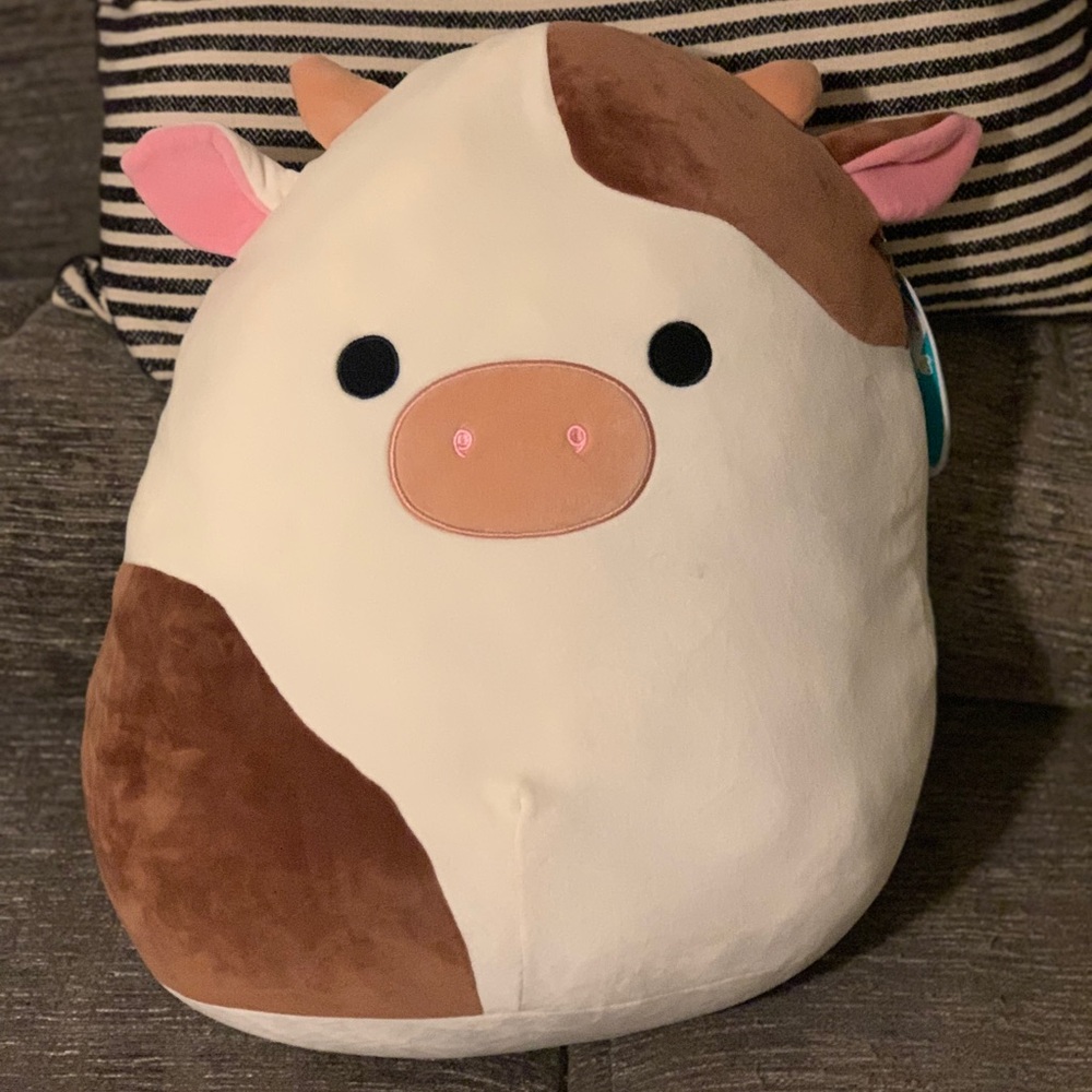 SOLD Ronnie Squishmallow 16”